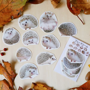 むぎこむ工房作品