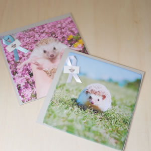 むぎこむ工房作品