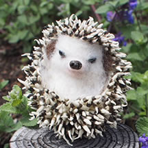 手乗りサイズのハリネズミ