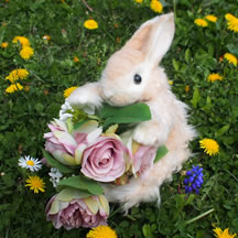 抱っこちゃんウサギ