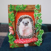 ハリネズミとベニテングダケ